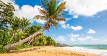 Alison Bell Ashley: July 2019 Barefoot Writing Challenge Winner
