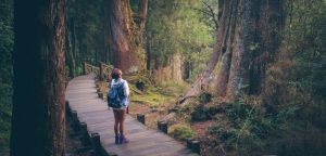 woman forest bathing